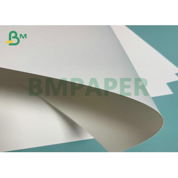 190gsm 210gsm CUPP1S CUPP2S PE Coated Cup Paper For Hot Drink Paper Cup бумага чашки 190гсм 210гсм КУПП1С КУПП2С покрытая ПЭ для бумажного стаканчика горячего напитка