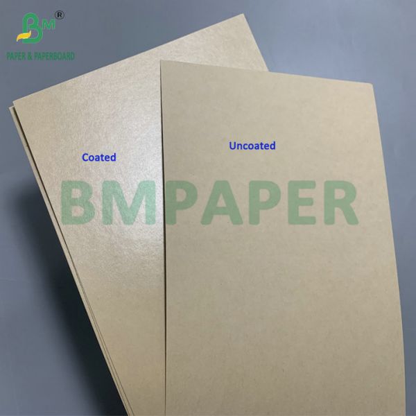 Oilproof PE Coated 170g 190g Bowl Cardboard Used For Making Salad Bowls Oilproof PE Coated 170g 190g Bowl Cardboard Used For Making Salad Bowls