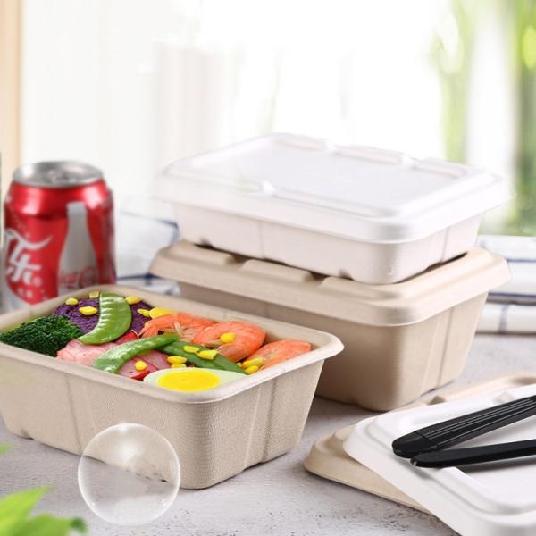 450ml 550ml Natural Eco Biodegradable Bagasse Tableware Salad Fast Food To Go Containers