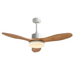 Plywood Blade Vintage Electric 20w Ceiling Fan 52 Inch With Light Decoration For Home