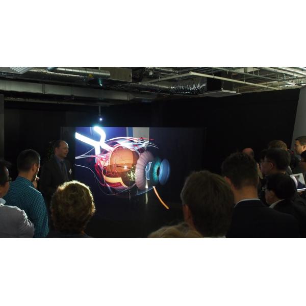 Self Adhesive 170° 100um Holographic Rear Projection Film