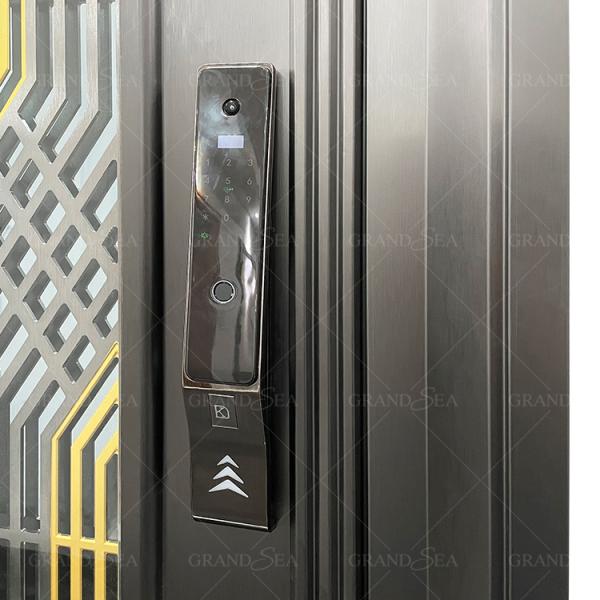 France Style  Advanced Stainless Steel Door Good Quality Superior a Class Locksystem Israel Security Door
