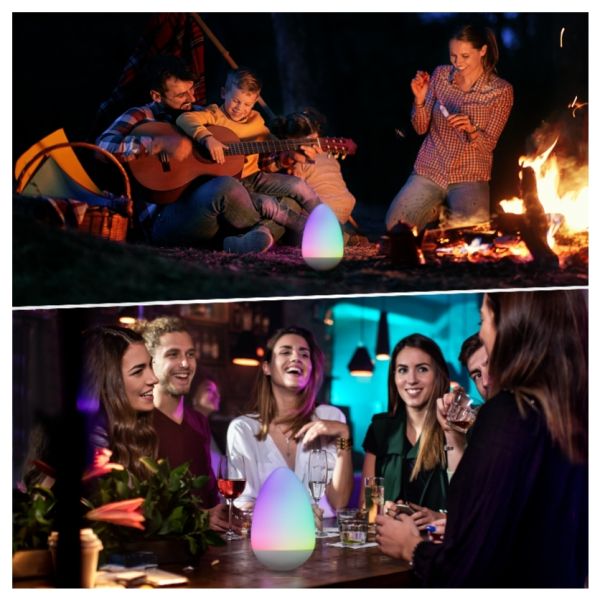 Versatile Portable Table Lamp Remote Control Wobble Egg Table Lamp