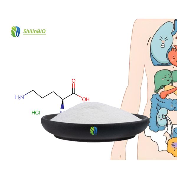 Factory Supply 99% Amino Acid L Ornithine HCl Powder Bulk Food Grade L-Ornithine Hydrochlorid  Cas 3184-13-2