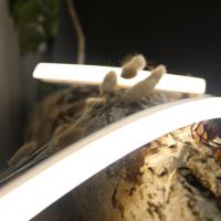 ERP arquitetónico branco morno leve de néon da iluminação do diodo emissor de luz do silicone 24V flexível