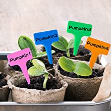 9 Piece Specialty Lady Garden Tool Set Heavy Duty Flower Design Garden Tool Set Gardening Tool With Bag