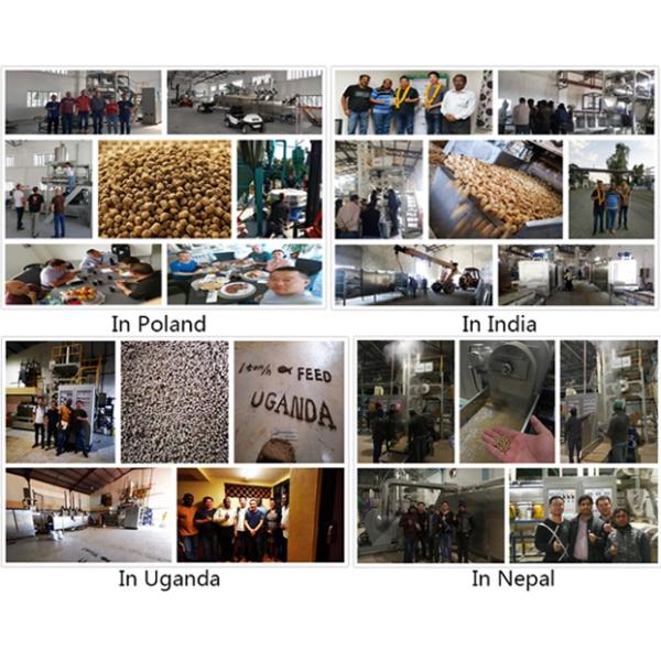 Máquina de procesamiento de extrusores de alimentos para perros para mascotas hecha de acero inoxidable