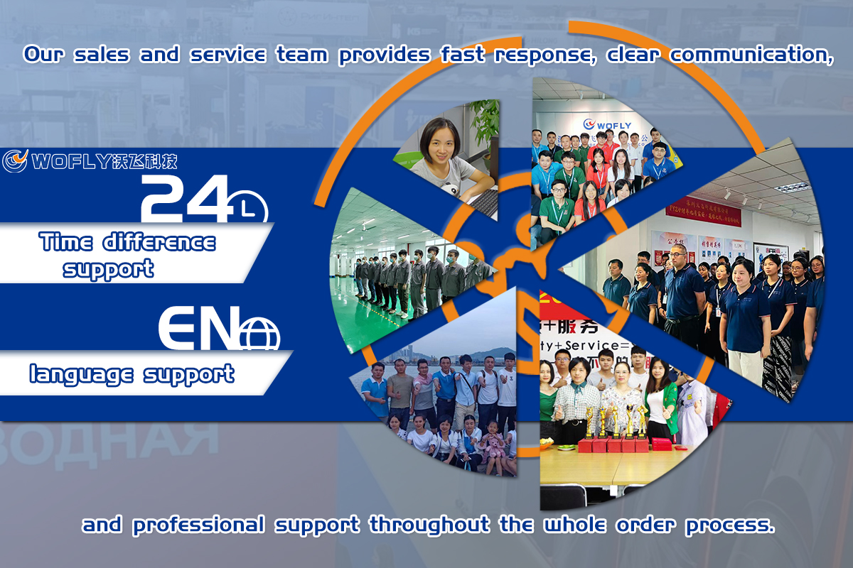 Shenzhen Wofly Technology Co., Ltd.