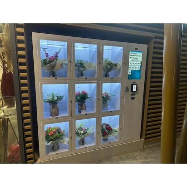 24/7 Self Service Cooling Locker Machine