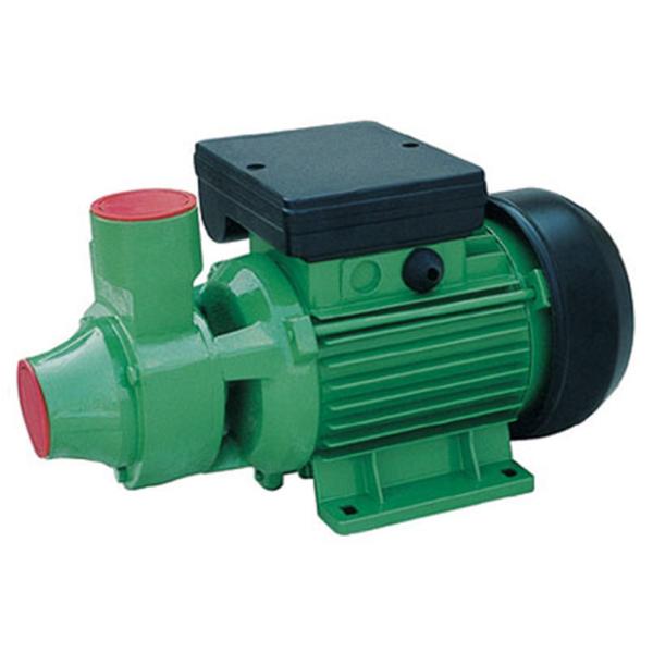 Одиночная фаза 1.5хп/1.1кв водяной помпы земледелия вортекса с снабжением жилище