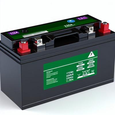 51.2V 230Ah Golf Cart LiFePO4 Battery with Smart BMS