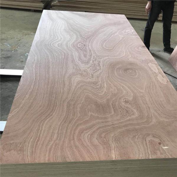 First Class Glue E0 E1 1250x2500mm Sapele Marine Plywood