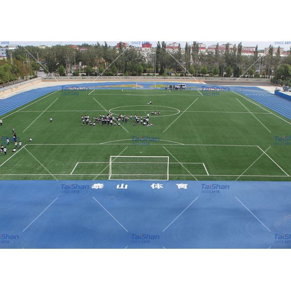 FIFA Certified 55mm Pile Height High Density Artificial Turf for Soccer Courts with Low Maintenance