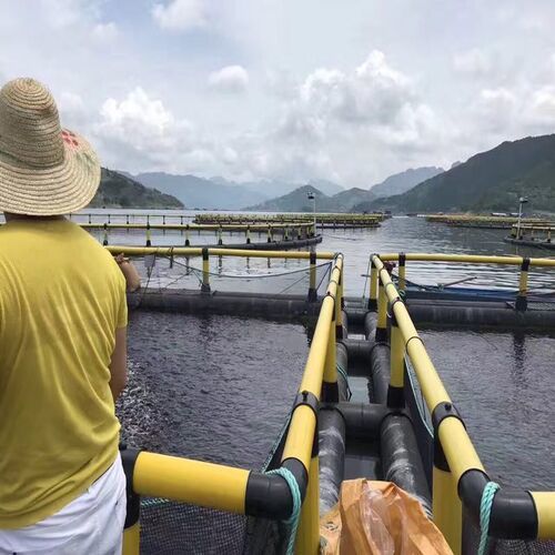 Anti-Wind Wave Square Floating Fish Cage Deep Water Culture Net Cage