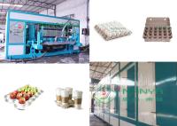 A polpa moldou 600m2 o ovo de papel Tray Manufacturing Machine