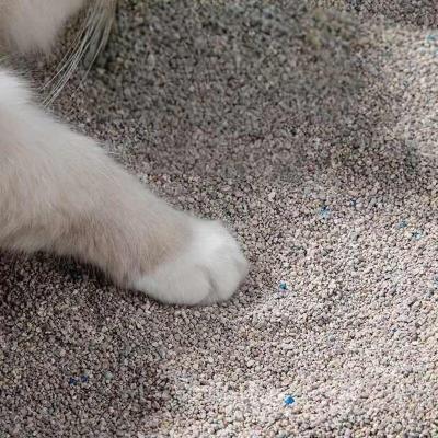 Légumes à base d'huile d'olive de poisson 100% exempts de poussière Légumes à base d'huile d'olive broyée inoffensifs