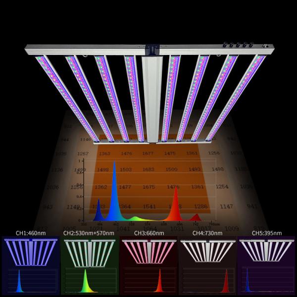 Lumière de plante horticole SAMSUNG LM301H LM281B Puces Cinq canaux Dim Plein spectre Vert Bleu Rouge 8 Bar 800W LED Lumières de croissance