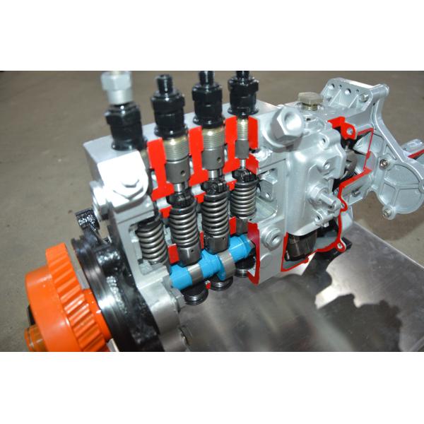 Modèle anatomique de la pompe à carburant à haute pression