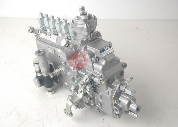 4063844 Cummins Fuel Pump Standard Size For Excavator 6BT5.9 Silver Color