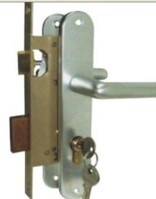 Stainless Steel Mortise Lock Exterior Door Brass Cylinder OEM Service