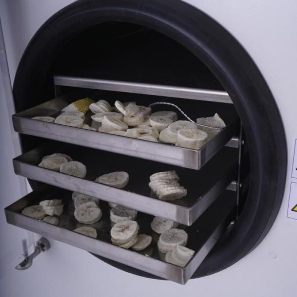 2024 Hottest Product Food Freeze Dryer Machine for Home Continuous Drying Machine