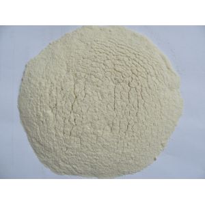 Dehydrated Garlic Powder