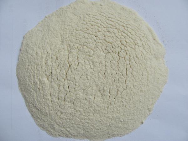 2015 new crop China market price of garlic powder