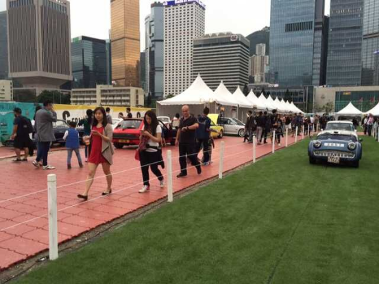 Анти- настил предохранения от дерновины выскальзывания для на открытом воздухе коммерчески выставки