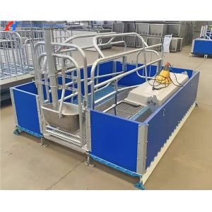 Steel Piggery House Onsite Installation Chicken Shed Construction