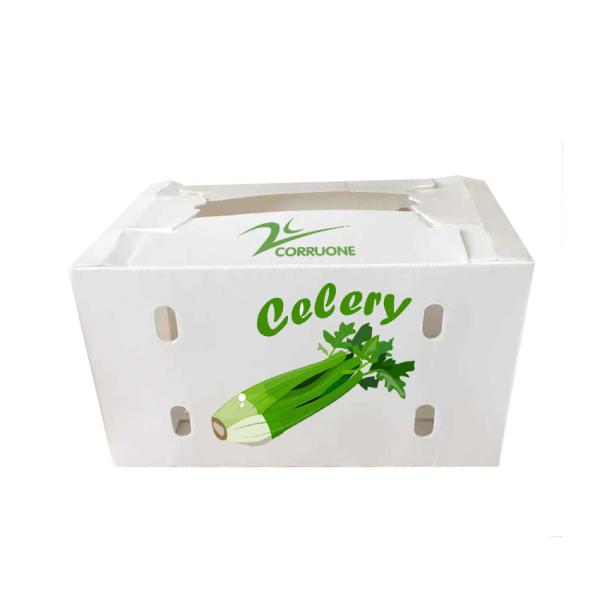 Black Corriflute Fruit Corrugated Boxes Corrugated Plastic Storage Containers