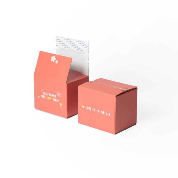 Logo personnalisé Carton ondulé Boîte de messagerie fermeture à glissière Boîte d'emballage pour vêtements alimentaires