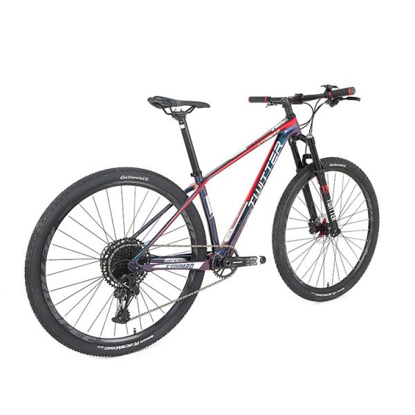 Цвет горного велосипеда 29er углерода голографический с Sram SX 12S Groupset для взрослого