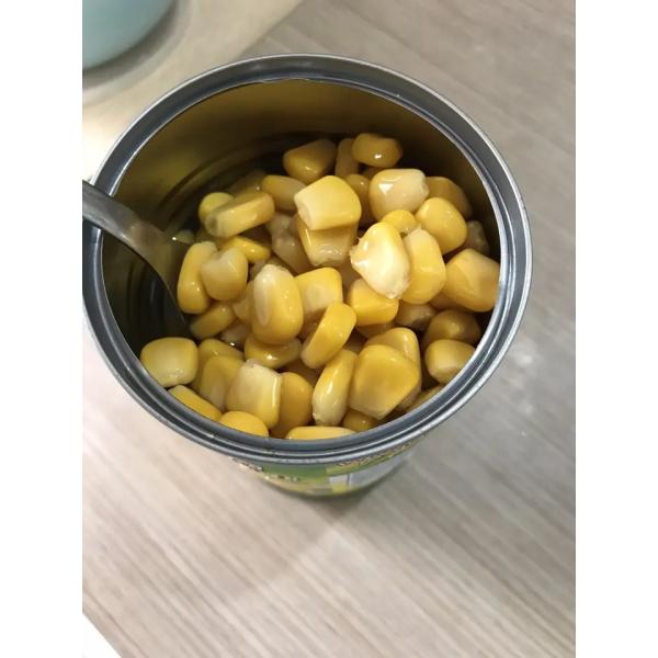 OEM законсервировал Creamed еду олова овоща момента времени сладкой мозоли халяльную естественную