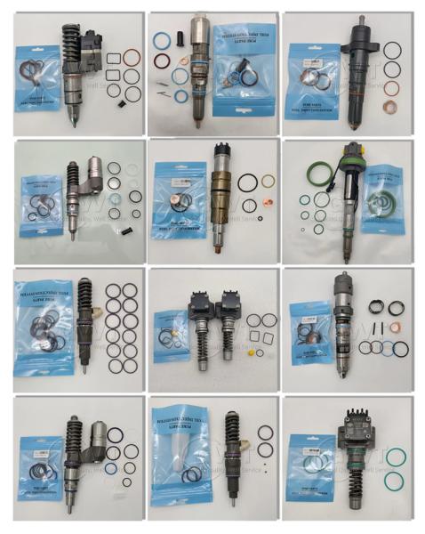 FM12 FL12 Volvo Fuel Injector  5237322 8113408 20381597 8170569