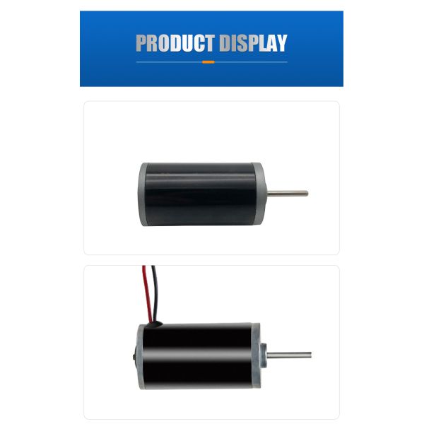 FT-31ZY Carbon Brushed Micro Motor 6V 12V 24V DC Micro Motor For Smart Homes