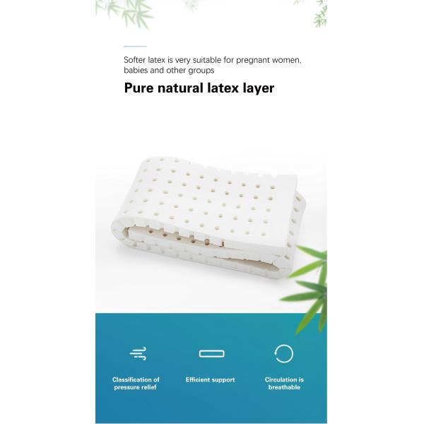 Natural Latex Organic Materials Flexible Spinal Protection for Bedroom Sofa Cushion