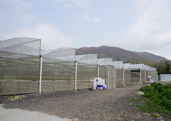Systèmes de serre hydroponiques résistants à la pluie avec support galvanisé
