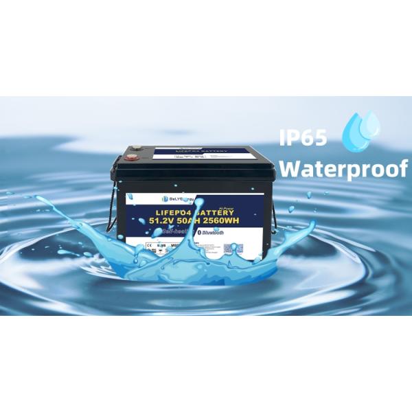 Battery Weight 20KG 51.2v Lithium Battery 50Ah Marine For Lightweight Power