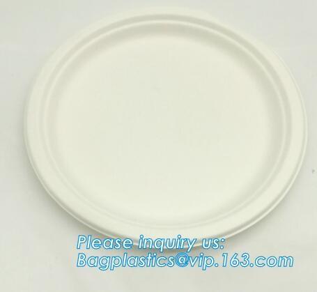 Biodegradable plate food grade green sugarcane bagasse plate,10 sugarcane ecofriendly disposable oval plate bagease pac