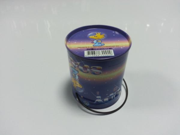 Tinplate Tin Coin Box / Cylindroid Metal Tin Container For Money Saving