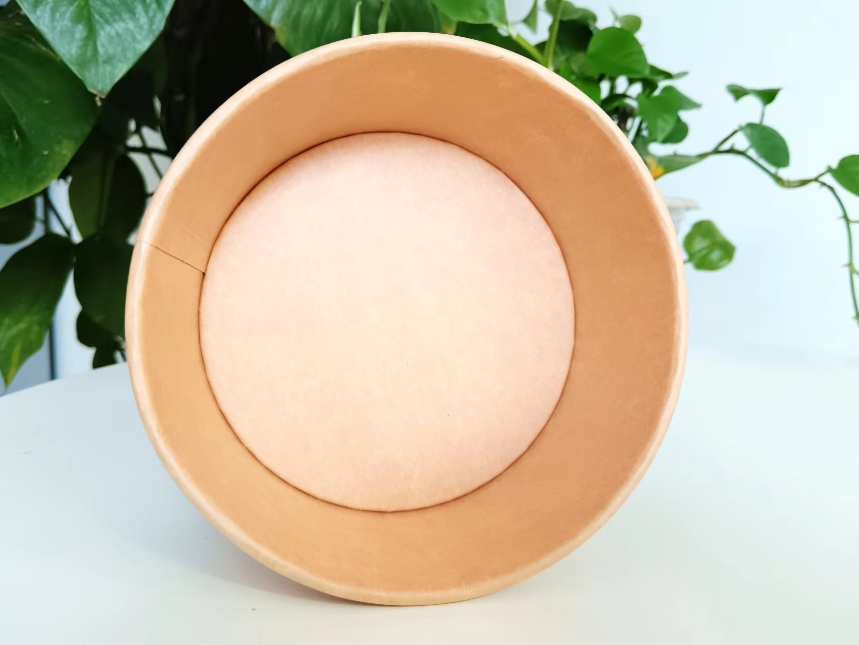 Customized Disposable Lunch Bowl Takeaway Paper Boxes for Fast Food Salad Fried Rice