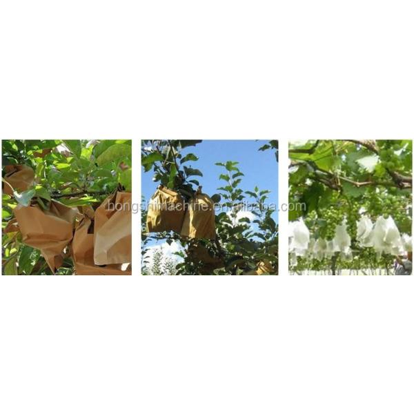 High Speed Fruit Vegetable Processing Machine Grape Growing Cover Paper Bag Maker