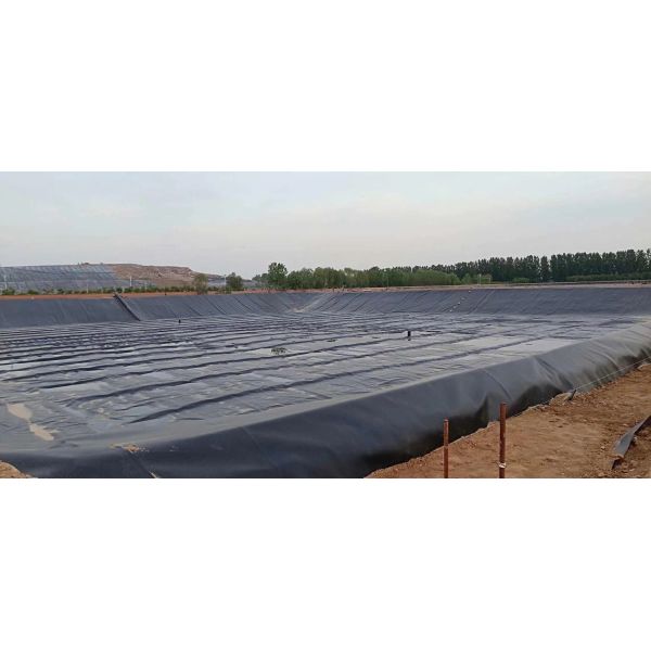 Dehydrated PP Geotube Dewatering High Strength Geosynthetic Tubes For Breakwater