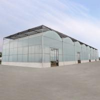 Do filme uv alto hidropônico da estufa do túnel do sistema da agricultura multi período