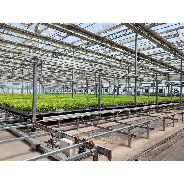 Custom Logistics-based Track-mounted Adjustable Ebb and Flow Table Seedling Bed for Greenhouse Seedling Cultivation