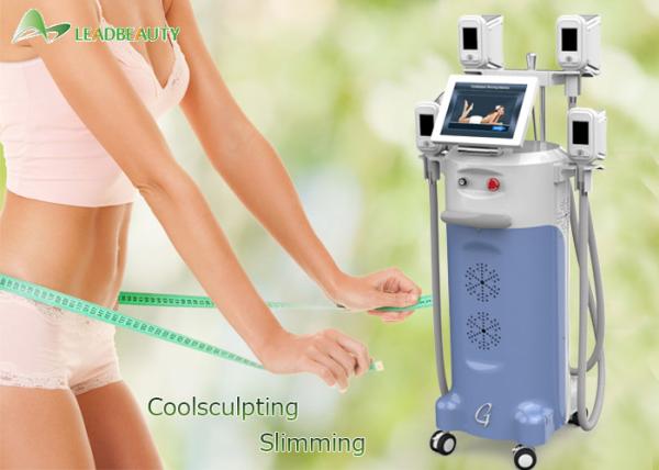 4 cryo handles vacuum freezing fat cryolipolysis machine/cryotherapy machine whole body