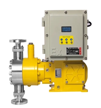 Plunger Metering Pump