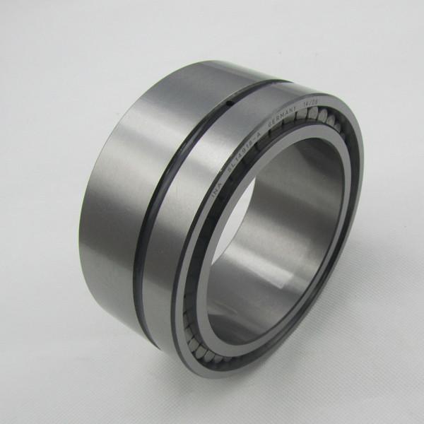 Germany Cylindrical Roller INA Bearing SL14918 For Ceramic Industry