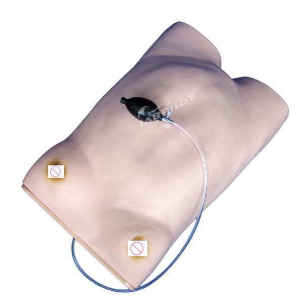 Advanced PVC Maternity Nursing Care Manikin Essential for Maternity Palpation Training