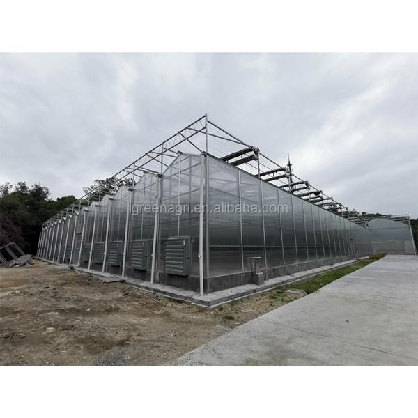 Serre commerciale en polycarbonate avec une hauteur de toit de 3 à 7 mètres et une feuille de PC personnalisée